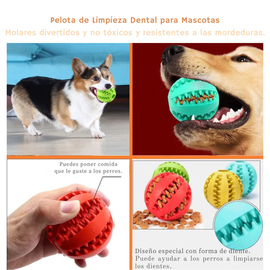 Pelota Juguete Resistente para Perros – Mordida, Mastica y Limpia sus Dientes